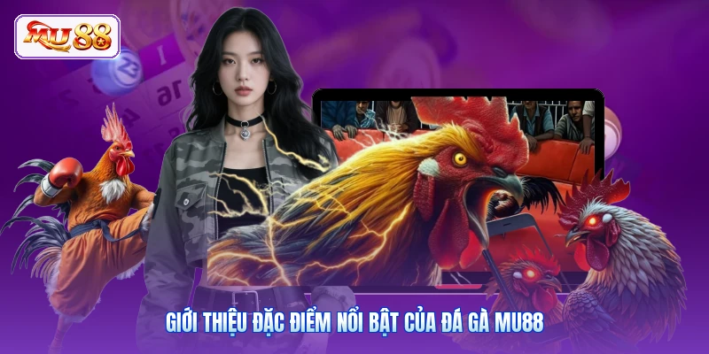 Giới thiệu đặc điểm nổi bật của đá gà MU88