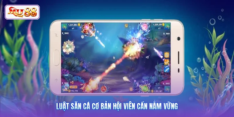 Luật săn cá cơ bản hội viên cần nắm vững