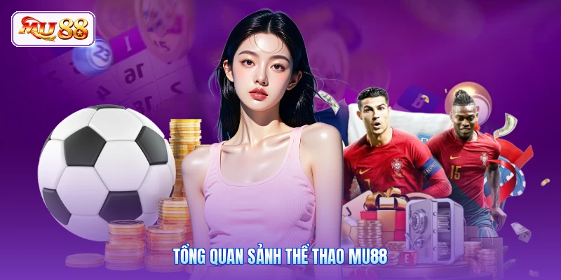 Tổng quan sảnh thể thao MU88